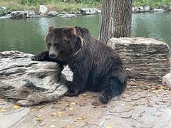 -北京野生动物园