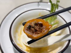 -丁老爷子苏香圆