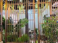 -四季合味椰子鸡(南山大冲店)