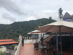 -金马仑薰衣草花园(Cameron Lavender)