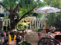 -Fern Forest Cafe