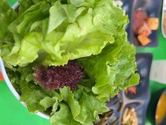 -真利味·脊骨火锅·正宗韩国料理(韩乐坊店)