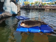 -华夏文旅海洋公园