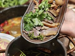 -蘑界·野生菌火锅(深业上城店)