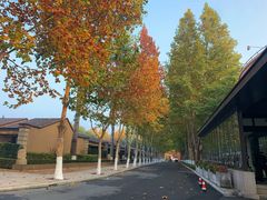 -春晖园度假酒店温泉