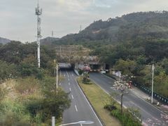 -惠阳站