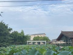 -莫催咖啡