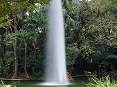 -九龙公园