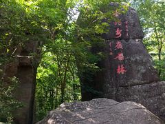 -汤旺河林海奇石景区