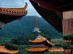 -深圳仙湖植物园
