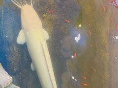 -鸿通城购物中心