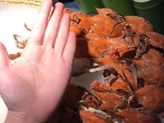 -星伦多 自助料理(圆融店)