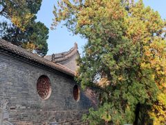 -洛阳白马寺