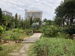 -佛山市三水区大南山森林公园
