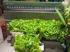 -九孔·筒骨莲藕汤锅(大明宫万达店)