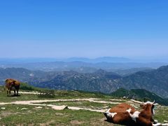 -灵山