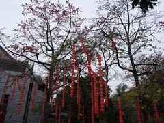 -广州中山纪念堂