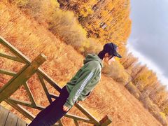 -塞罕坝国家级自然保护区