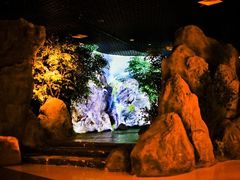 -宁夏博物馆