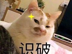 -天娱广场