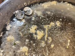 -水哥卜卜贝(东晓·胜汇里店)