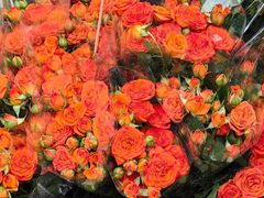 -循礼门鲜花花市(武汉循礼门店)