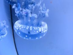 -常州海昌海洋探索馆