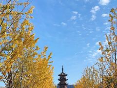 -龙华寺