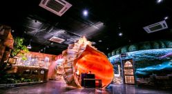 -Zoolung Zoolung动物主题公园(海信广场店)