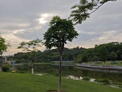 -东莞植物园