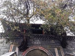 -泰山风景名胜区