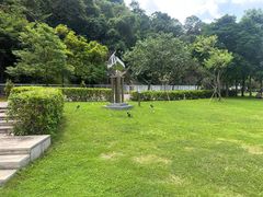 -香港大学
