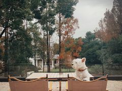 -J Create城市露营咖啡·简餐·宠物(上海动物园店)