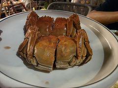 -欢乐蟹庄·精品农家乐(阳澄湖莲花岛店)