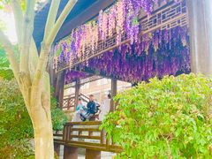 -茅山东方盐湖城景区