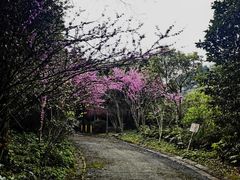 -中铁花水湾温泉酒店(大邑店)