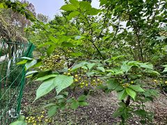 -洪湖家庭农场·团建·露营·会议