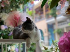 -花十悦·鲜花咖啡餐厅(振业城一期店)