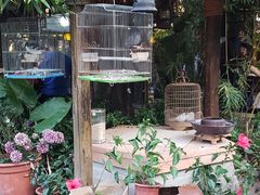 -园林美食城·本土农家菜(杨和镇店)