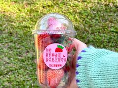 -晓港公园