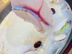 -京门活鱼馆·鱼火锅(百子湾（原红庙）店)