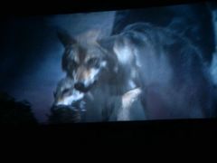 android_upload_pic-奥斯卡国际影城(杜比全景声&4D激光店)