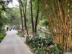 -成都市活水公园