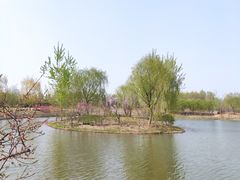 -东郊湿地公园
