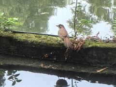 -成都杜甫草堂博物馆