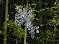 -宝岩生态观光园