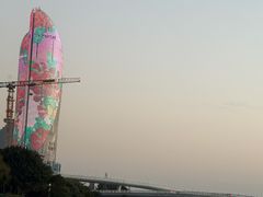 -演武大桥观景平台