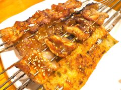 猪皮-麻喜大
