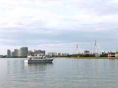 -万绿园