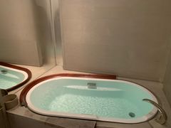 -上海柏悦酒店